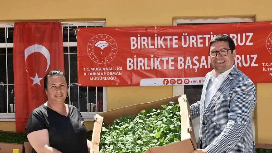 1 milyon 153 bin Ata Tohumu'ndan fide Muğla çiftçisiyle buluştu