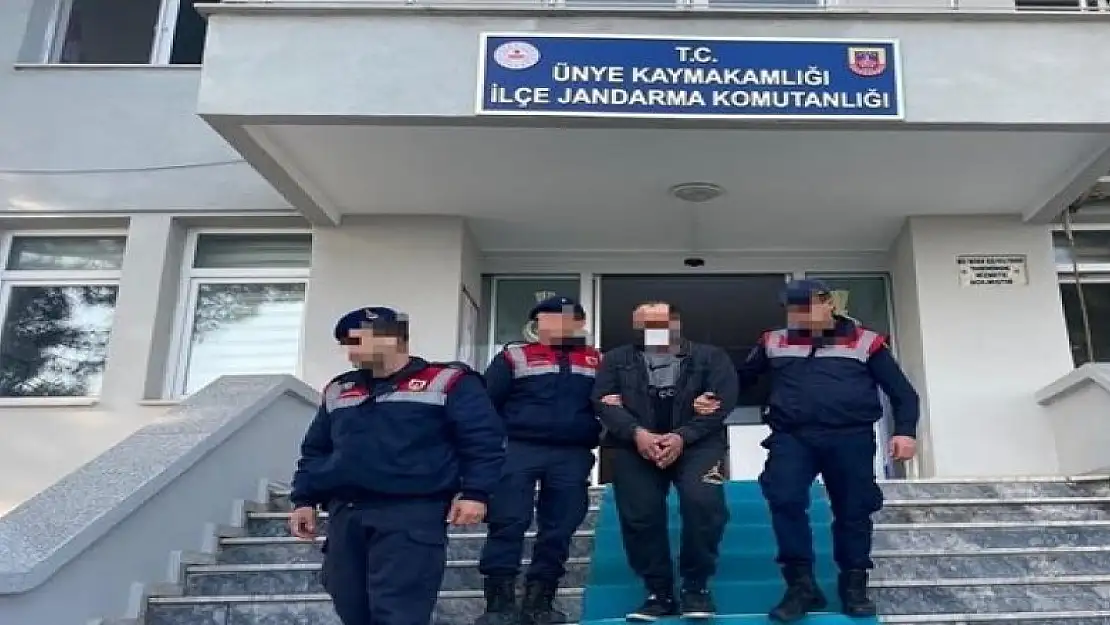 Ordu'da 2 DEAŞ mensubu yakalandı