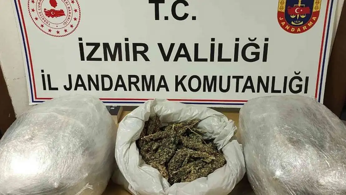 Uyuşturucu tacirinin evinden 13 kilo skunk ele geçirildi