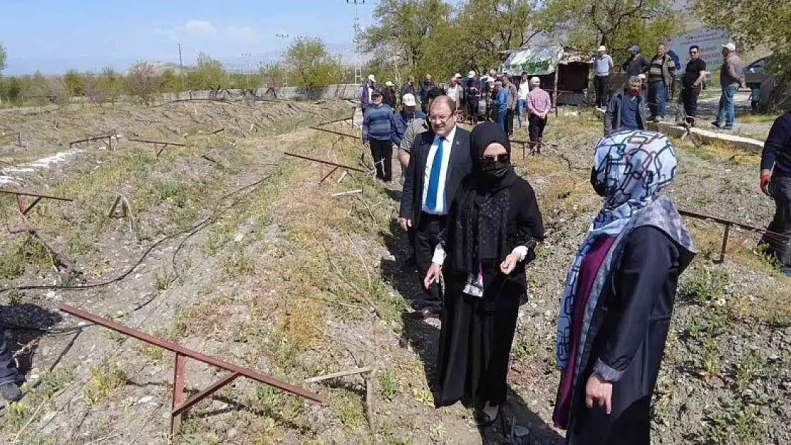 Üzüm bağlarında salkım güvesine karşı biyoteknik mücadele