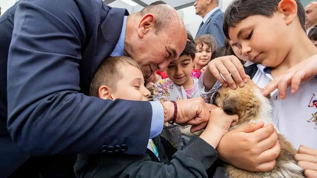 Sahipsiz dostlar İzmir'de emin ellerde