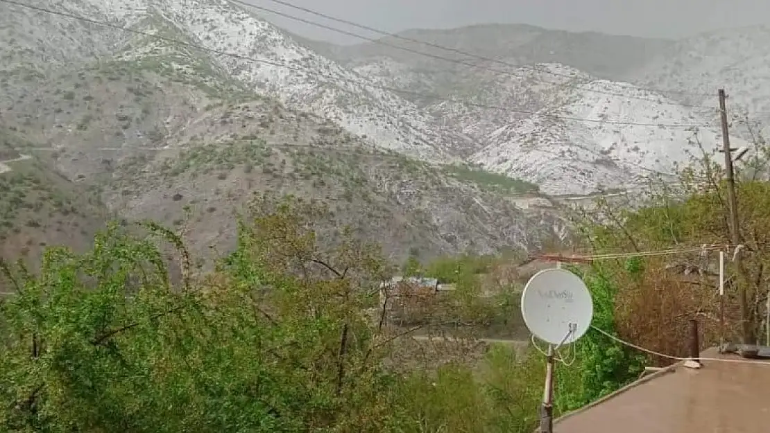 Elazığ'da kayısıyı dolu vurdu