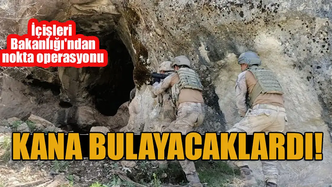 Jandarma anında harekete geçti: Kana bulayacaklardı!