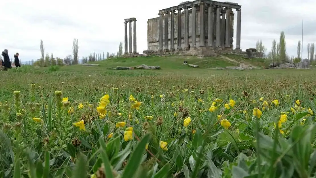 Aizanoi Antik Kenti'nde ilkbahar güzelliği