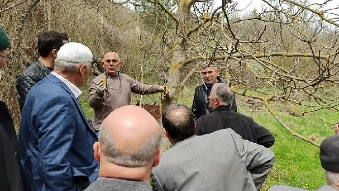 Kastamonu'da üreticilere 'meyve ağaçlarında budama ve aşılama' eğitimi verildi