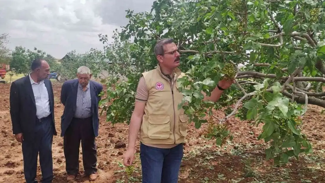 Dolunun vurduğu tarım arazilerinde hasar tespiti başladı