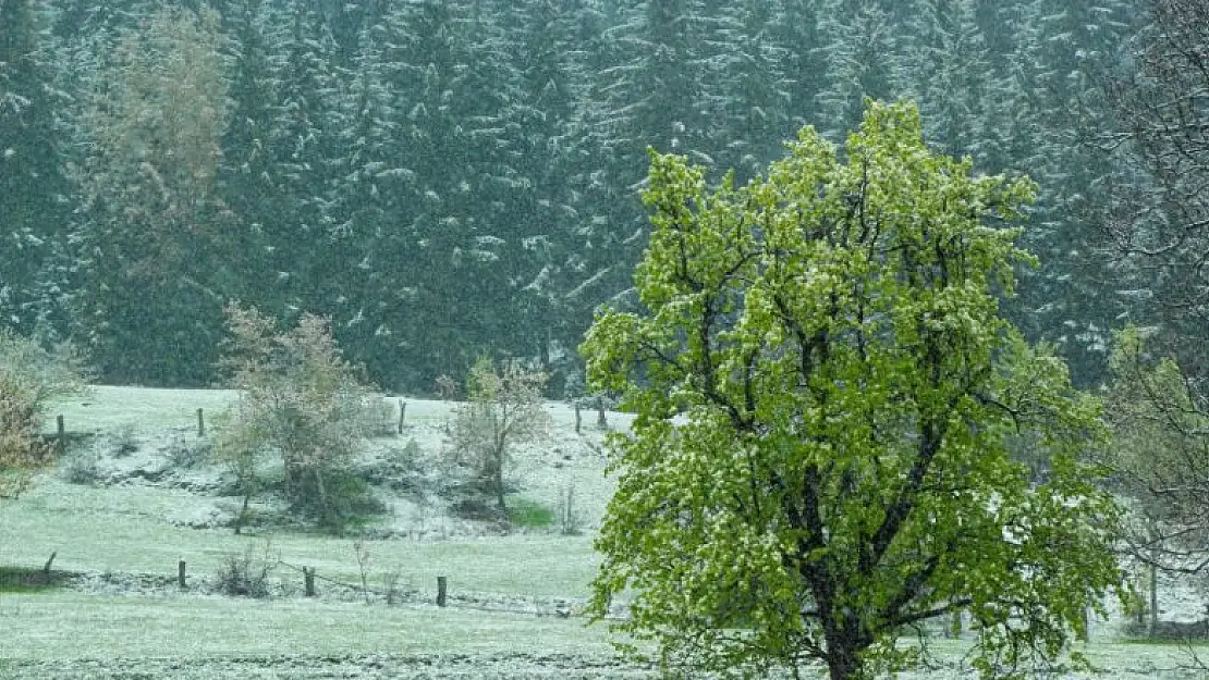 Artvin'in yüksek kesimlerinde kar etkili oldu