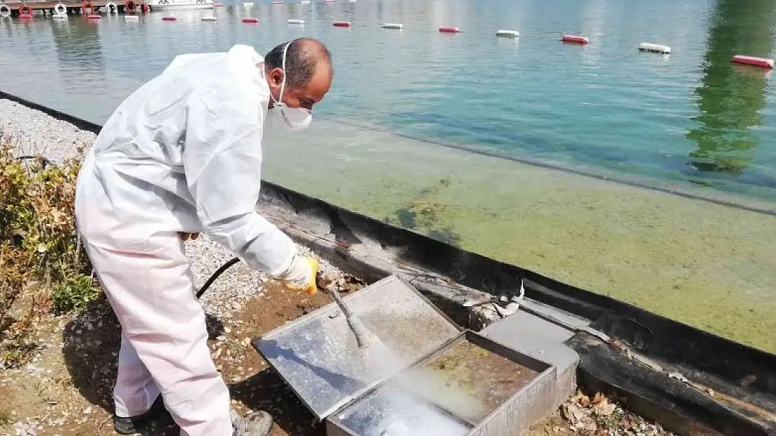 Çorum'da vektörel mücadele çalışmaları sürüyor