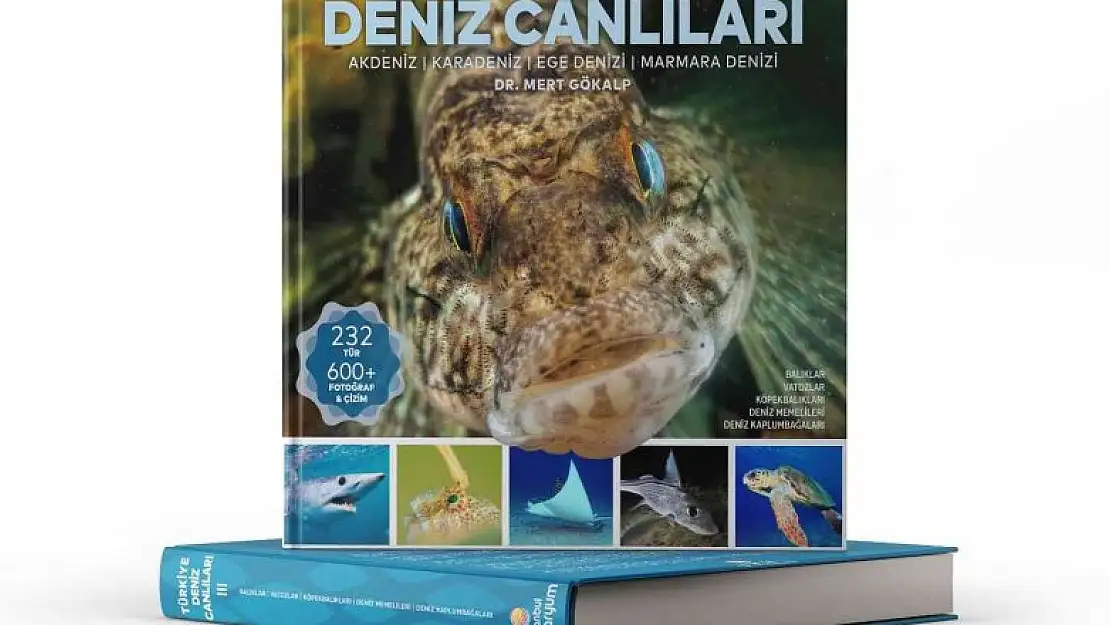 Türkiye'nin en geniş 'Deniz Canlıları' kaynağı okuyucuyla buluştu