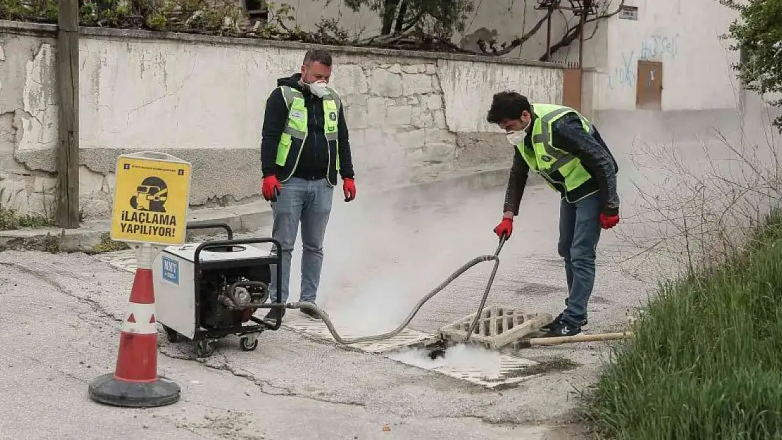 Kütahya'da sivrisinek ve karasinek üremesi kontrol altına alınıyor