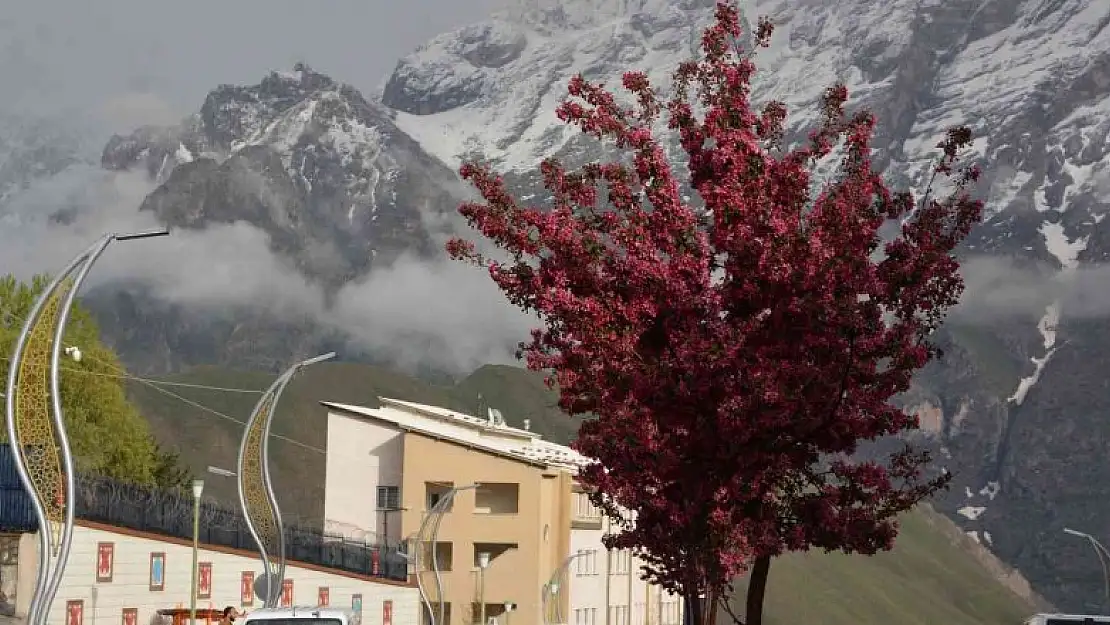 Sümbül Dağı'na kar yağdı