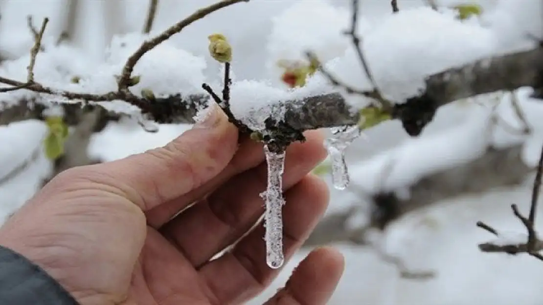 Meteorolojiden zirai don ve kırağı uyarısı