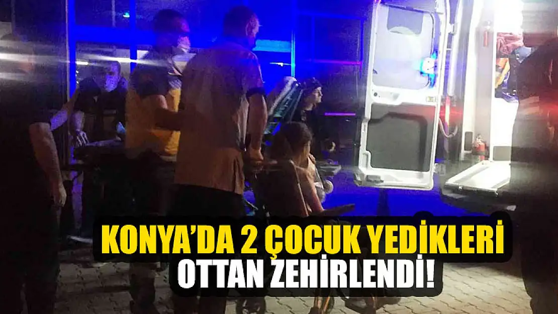 Konya'da yedikleri ottan zehirlenen 2 çocuk hastanelik oldu