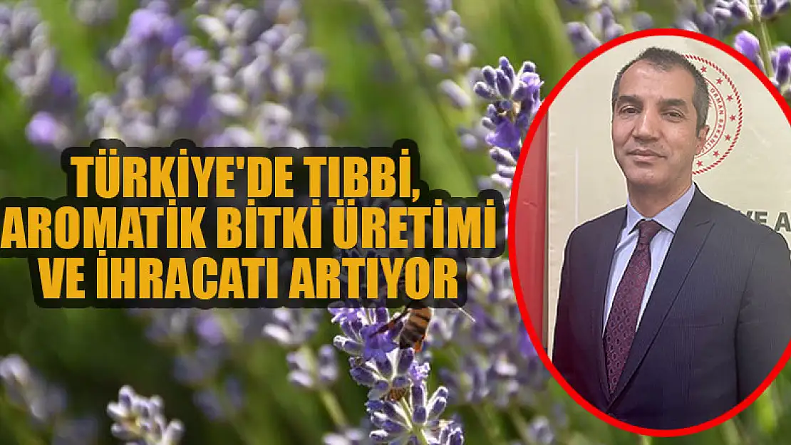 Türkiye'de tıbbi, aromatik bitki üretimi ve ihracatı artıyor