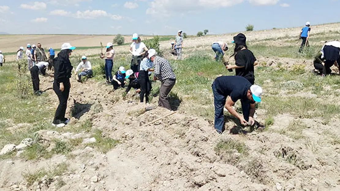 İlçe sağlık müdürlüğü ağaç dikim etkinliği gerçekleştirdi