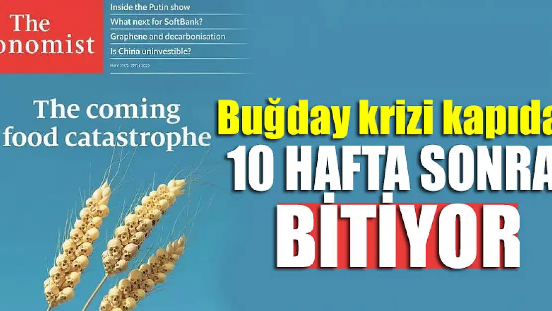 Buğday krizi kapıda, 10 hafta sonra bitiyor!