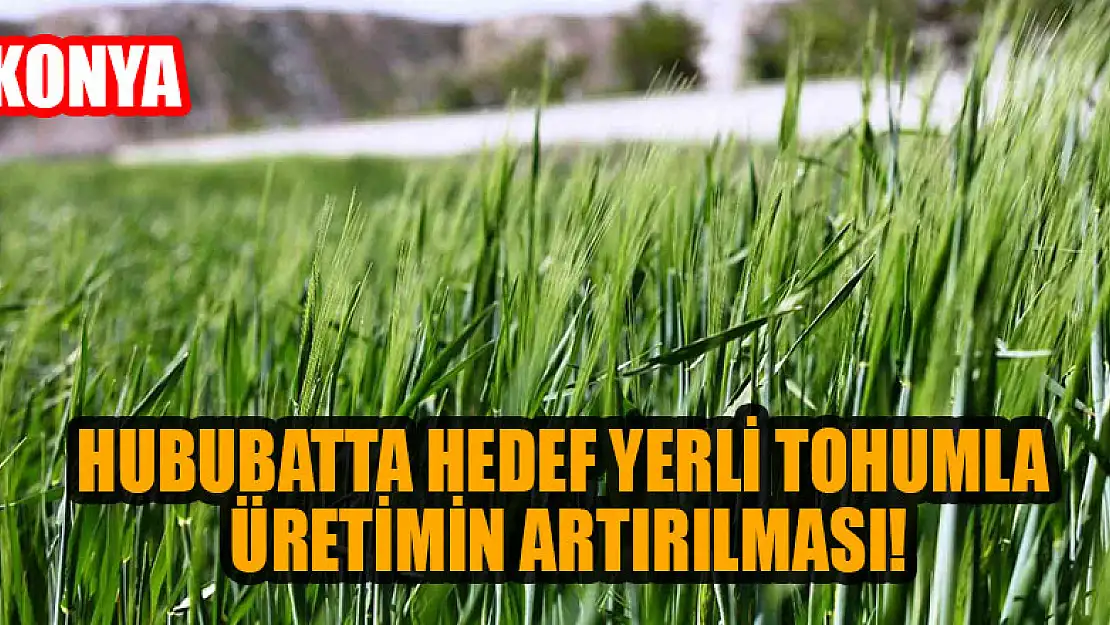 Hububatta hedef yerli tohumla üretimin artırılması