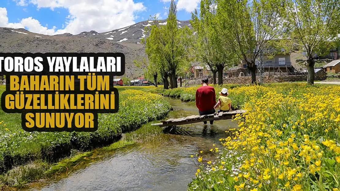 Toros Dağlarındaki yaylalar baharın tüm güzelliklerini sunuyor