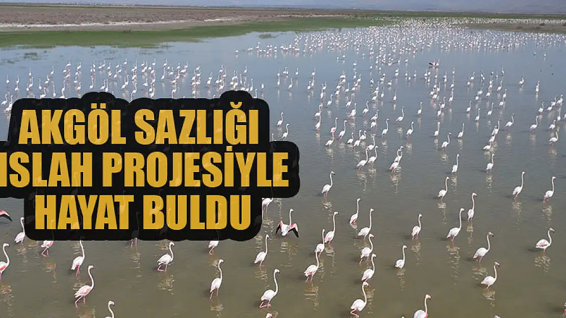 Akgöl Sazlığı ıslah projesiyle hayat buldu