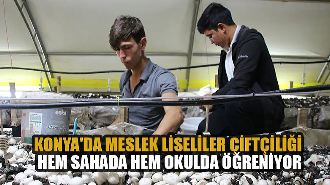 Konya'da meslek liseliler çiftçiliği hem sahada hem okulda öğreniyor