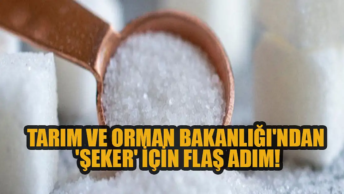 Tarım ve Orman Bakanlığı'ndan 'şeker' için flaş adım!