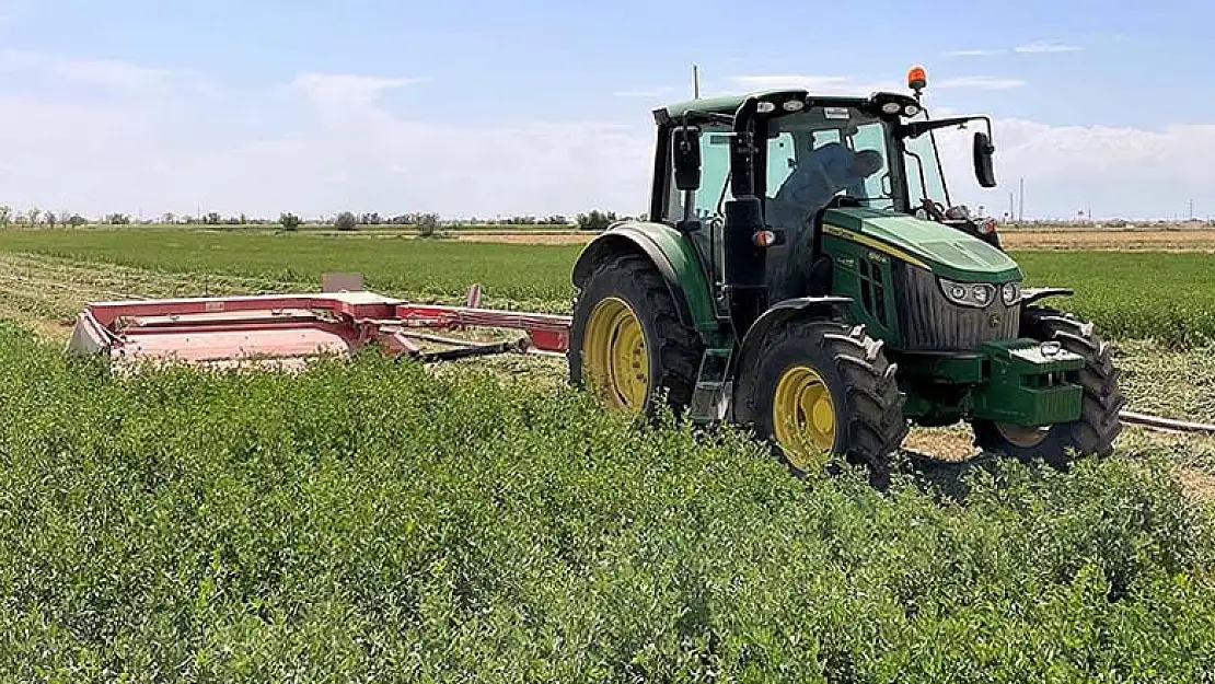 Tuz Gölü Havzası'nda yonca verimi üreticinin yüzünü güldürüyor