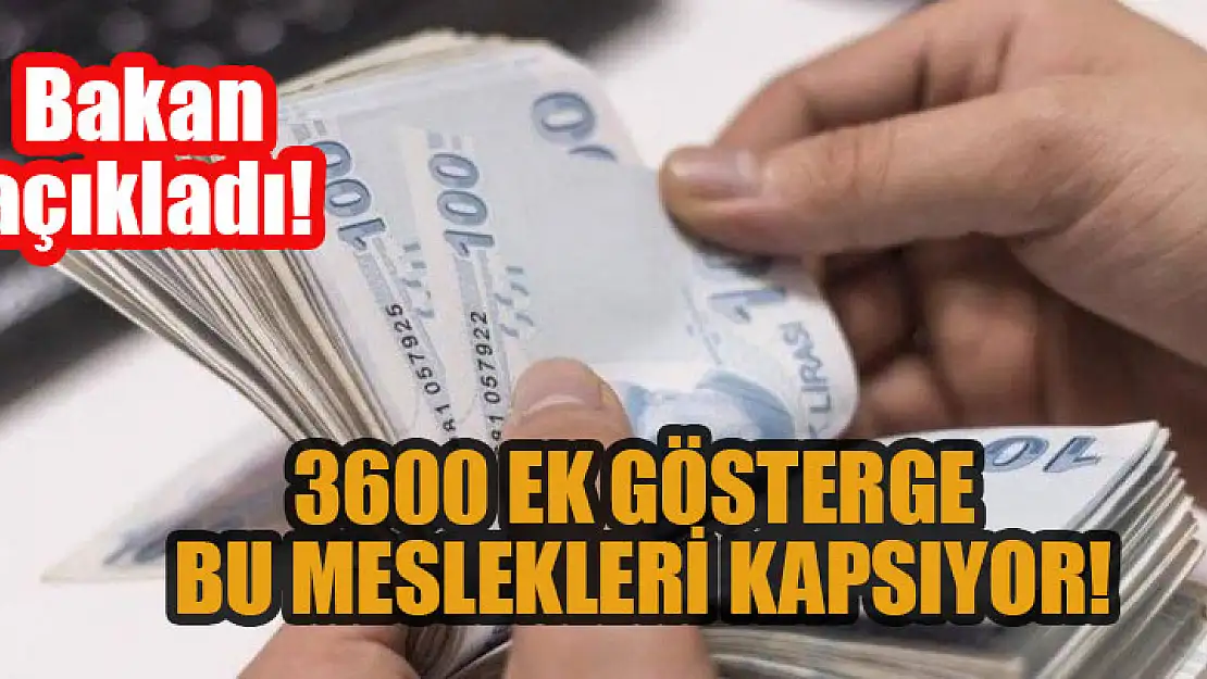 Bakan açıkladı! 3600 ek gösterge bu meslekleri kapsıyor