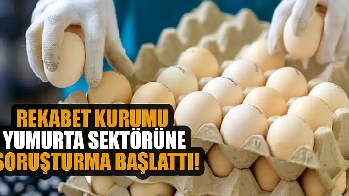 Rekabet Kurumu yumurta sektörüne soruşturma başlattı!