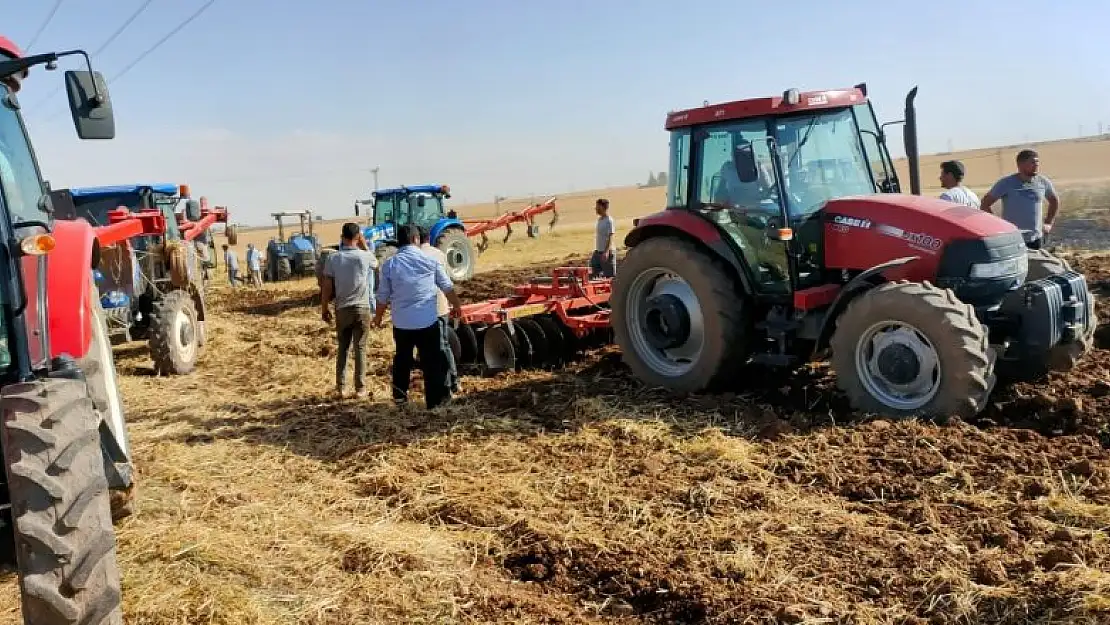 Şanlıurfa'da 80 dönüm buğday tarlası yandı