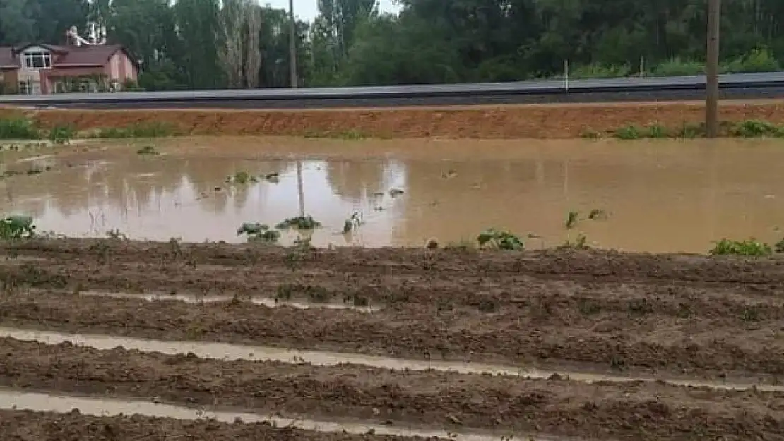 Beyşehir'de yağış çiftçinin yüzünü güldürdü