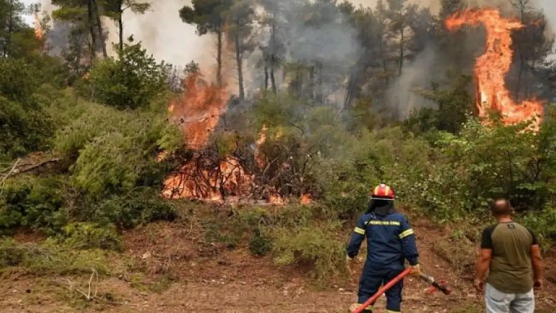 Muğla'da orman yangını!