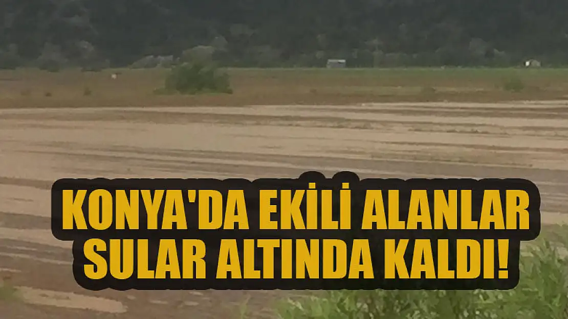 Konya'da ekili alanlar sular altında kaldı