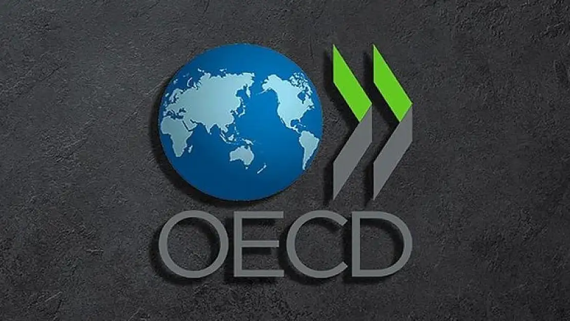 OECD Türkiye için büyüme ve enflasyon tahminini yükseltti