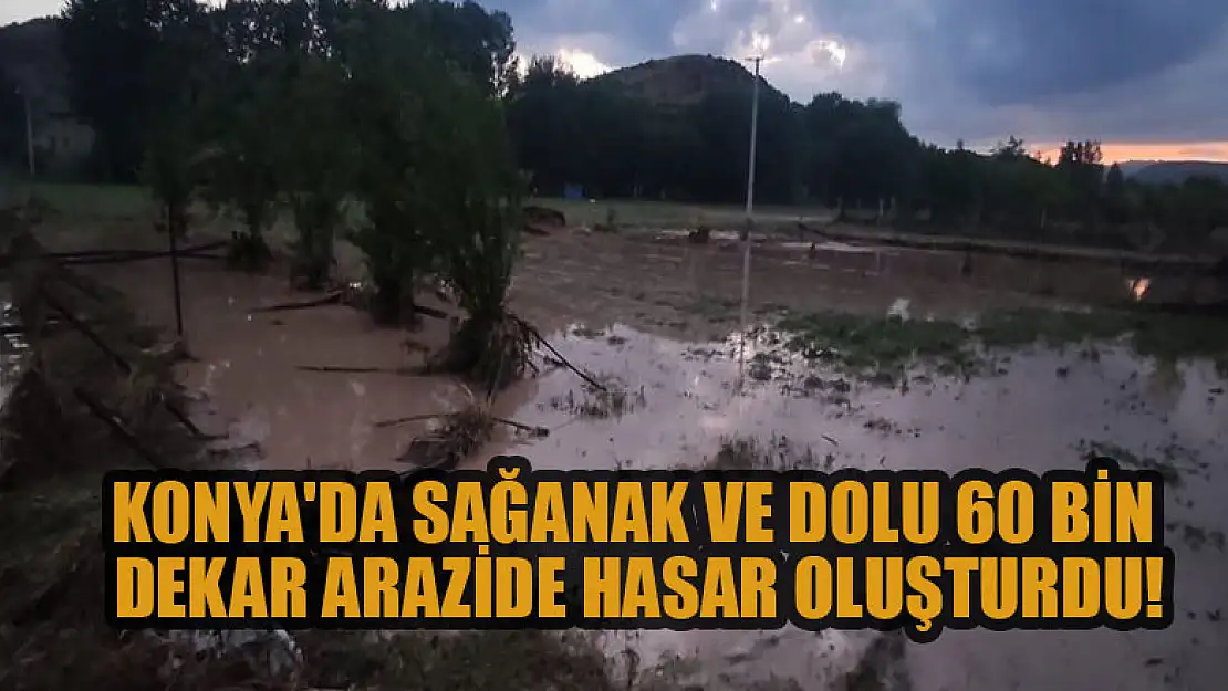 Konya'da sağanak ve dolu 60 bin dekar arazide hasar oluşturdu