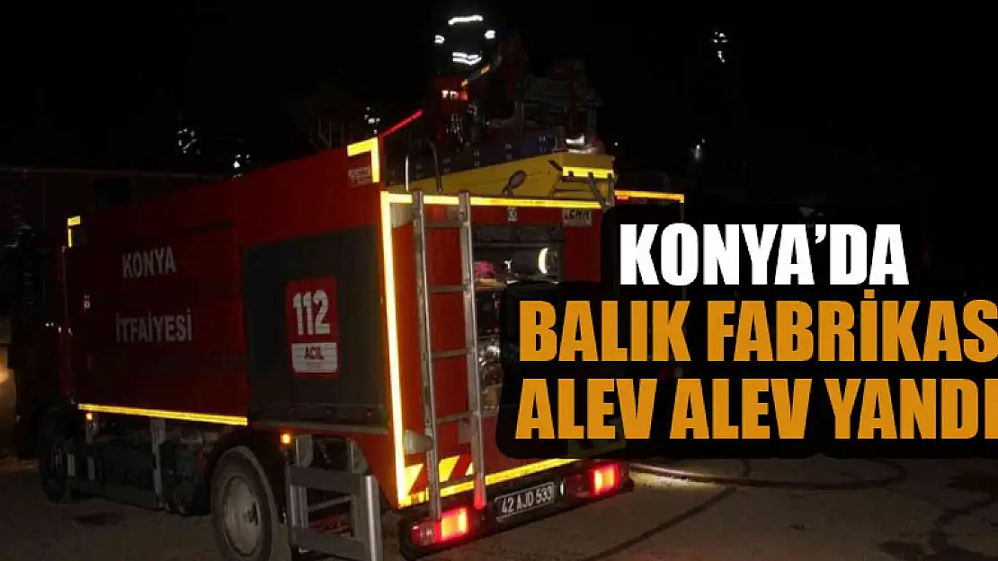 Konya'da balık fabrikası alev alev yandı