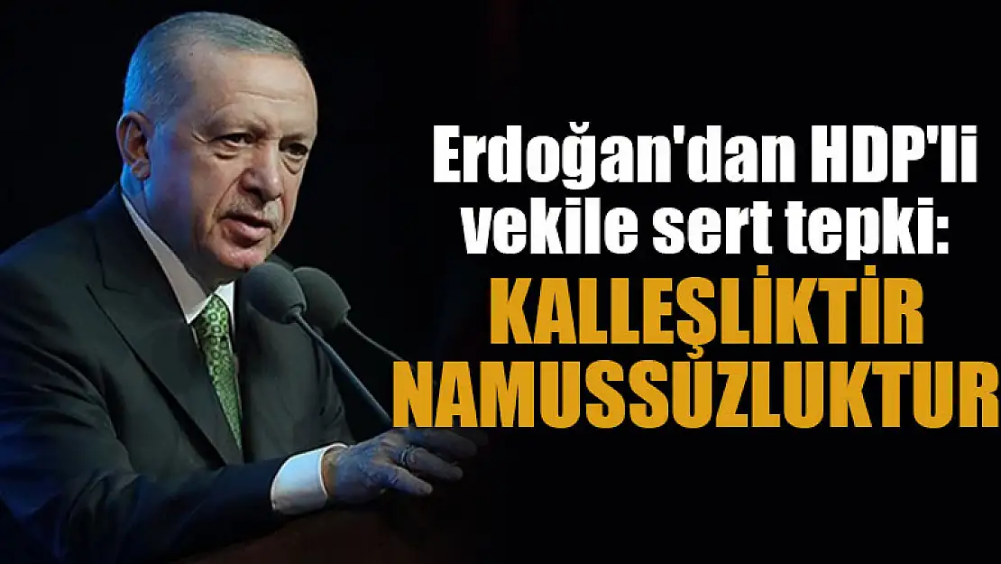 Erdoğan'dan HDP'li vekile sert tepki: Kalleşliktir, namussuzluktur!