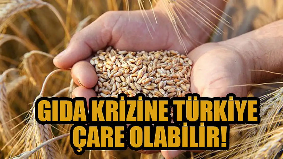 Gıda krizine Türkiye çare olabilir!