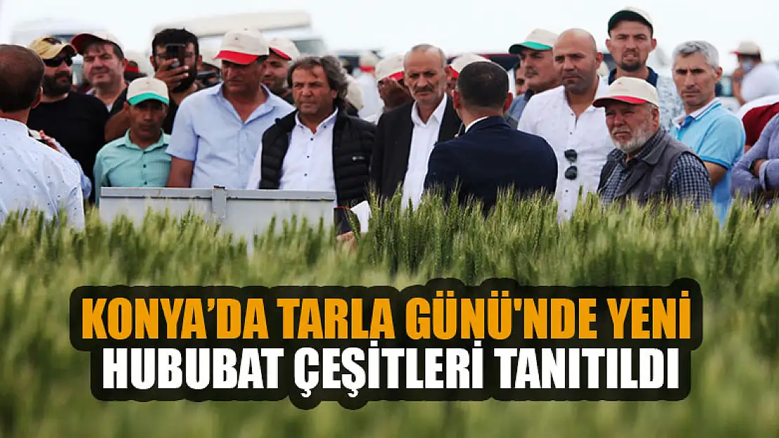 Konya'da Tarla Günü'nde yeni hububat çeşitleri tanıtıldı