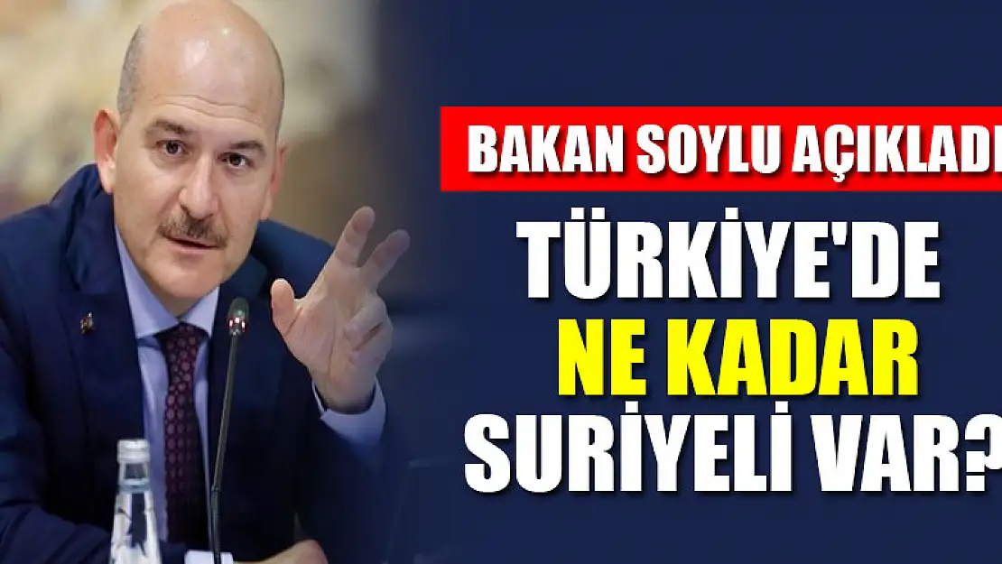 Bakan Soylu Türkiye'deki Suriyeli sayısını açıkladı