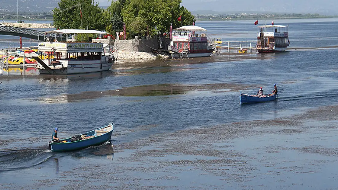 Beyşehir Gölü'nde yeni balık avı sezonu umutlu başladı