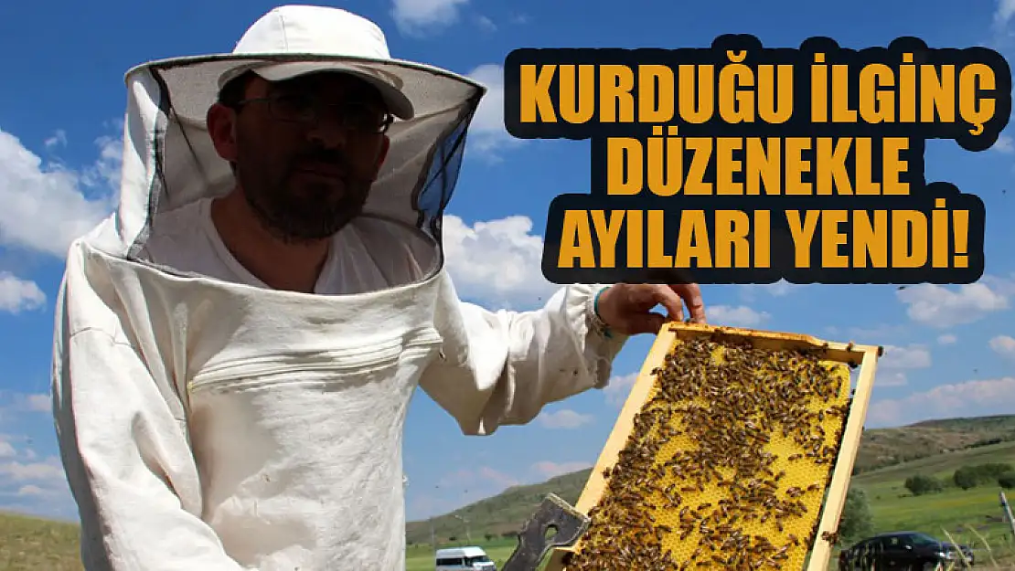 Kurduğu ilginç düzenekle ayıları yendi!