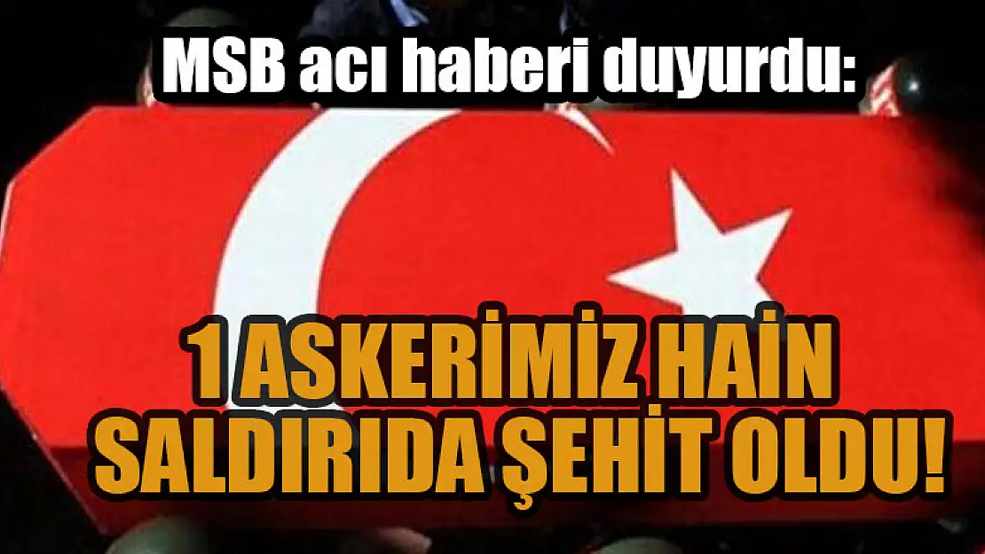 MSB acı haberi duyurdu: 1 askerimiz hain saldırıda şehit oldu!