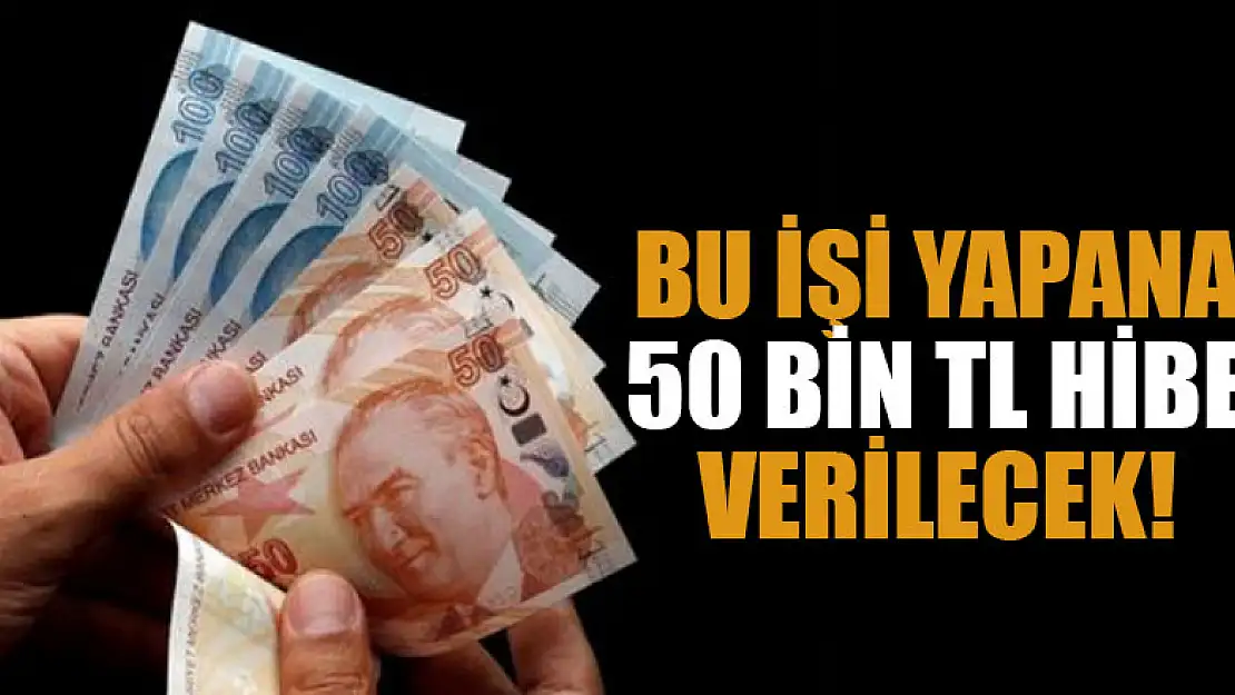 Bu işi yapana  50 bin TL hibe verilecek!