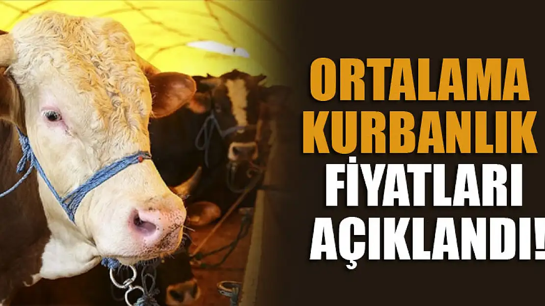 Ortalama kurbanlık fiyatları açıklandı