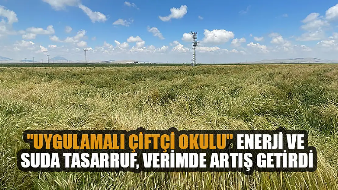 'Uygulamalı çiftçi okulu' enerji ve suda tasarruf, verimde artış getirdi