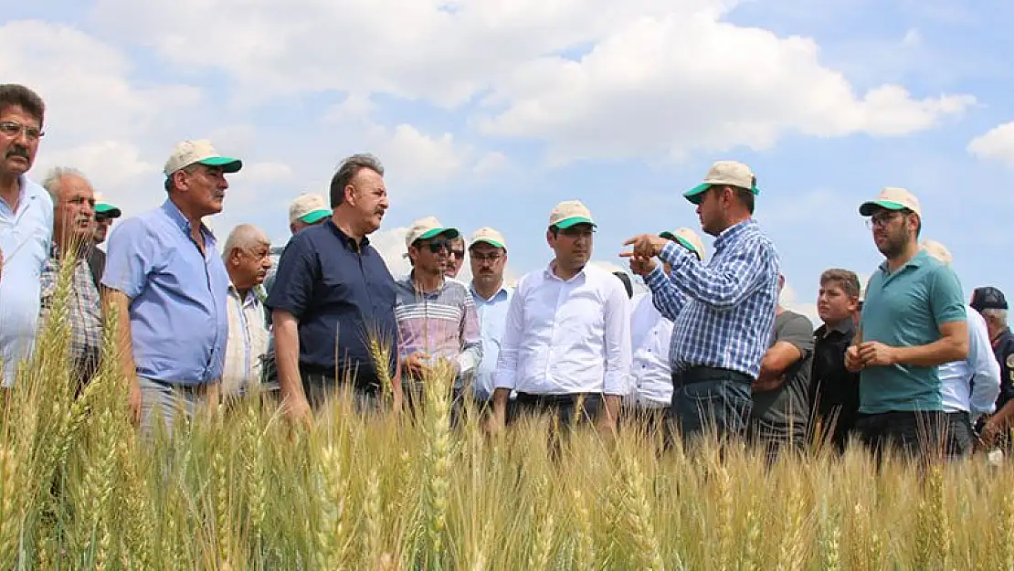 Hüyük'te tarla günü etkinliği gerçekleştirildi