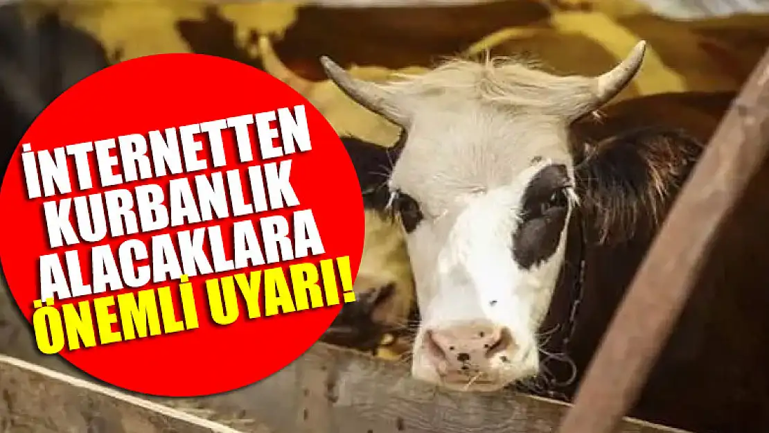 İnternetten kurbanlık alacaklara önemli uyarı!