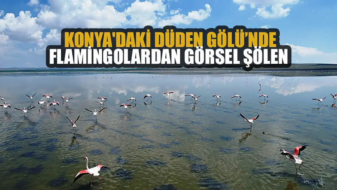 Konya'daki Düden Gölü'nde flamingolardan görsel şölen