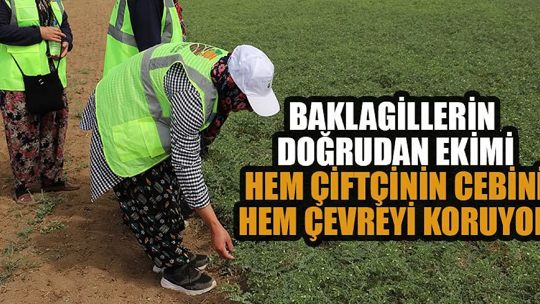 Baklagillerin doğrudan ekimi hem çiftçinin cebini hem çevreyi koruyor