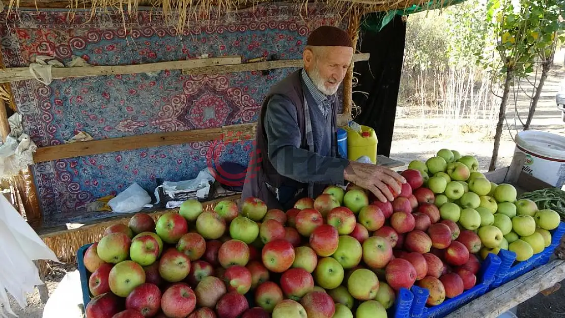 70 yaşında geçimini sağlıyor